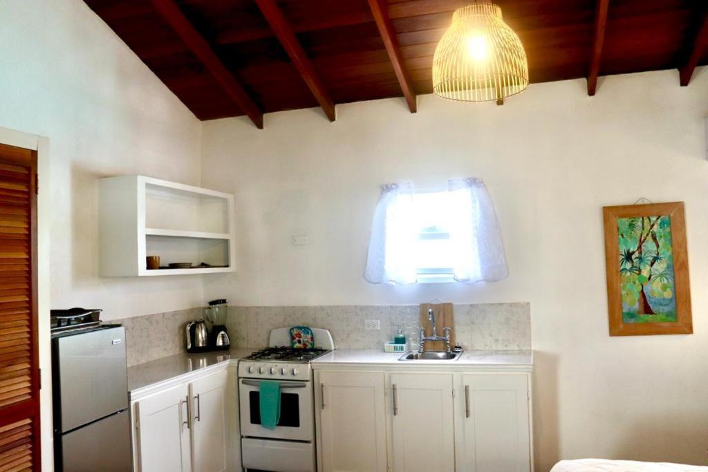 Blr Beach Villas Christ Church Zewnętrze zdjęcie